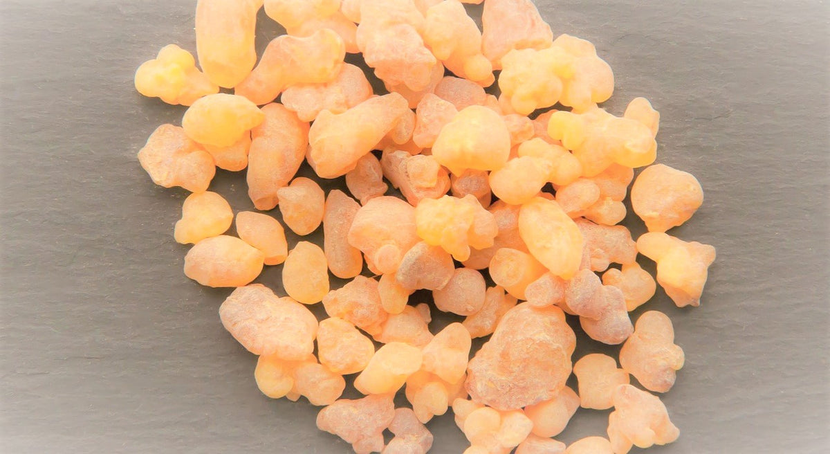 Eterisk Frankincense olja | Olibanum Frankincense Oil