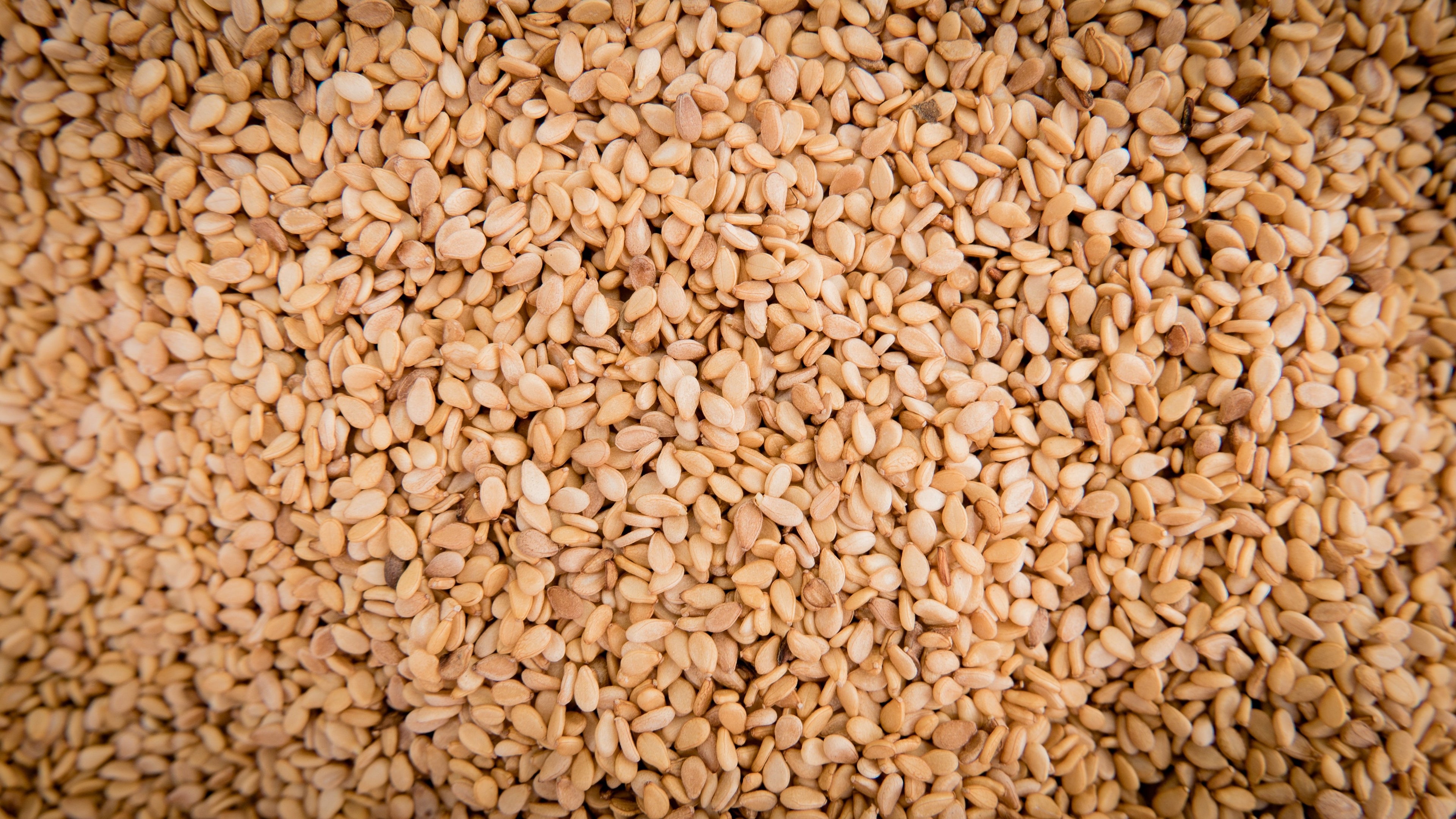 Sesamolja | Sesame Oil
