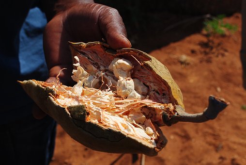 Baobabolja | Baobab Oil
